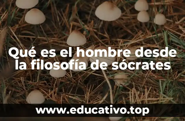 Qué es el hombre desde la filosofía de sócrates