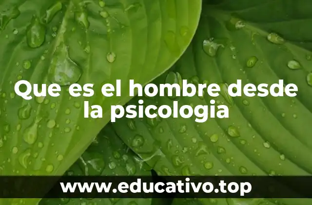 Que es el hombre desde la psicologia
