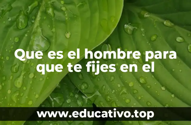 Que es el hombre para que te fijes en el