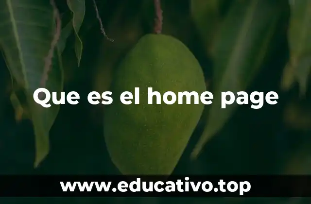 La importancia del home page en el diseño web