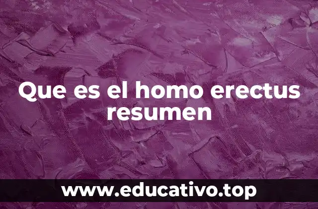 Que es el homo erectus resumen