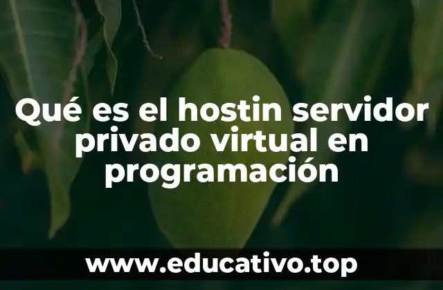 Qué es el hostin servidor privado virtual en programación