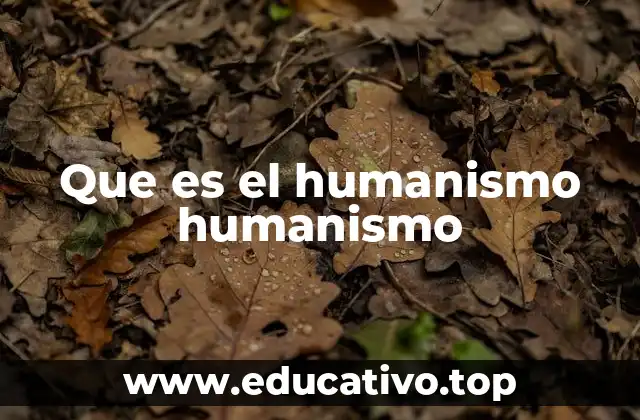 Que es el humanismo humanismo