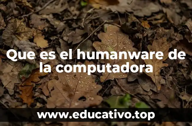 Que es el humanware de la computadora