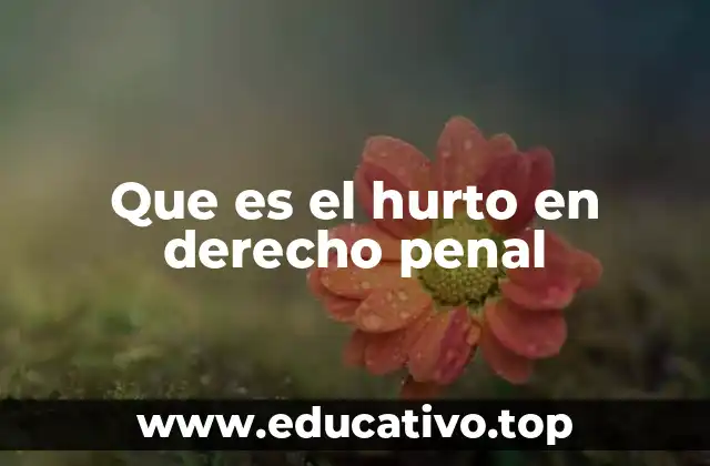 Que es el hurto en derecho penal