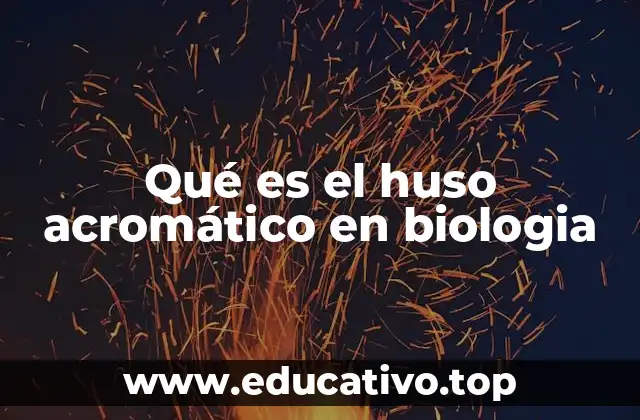 Qué es el huso acromático en biologia
