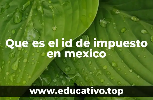 Que es el id de impuesto en mexico