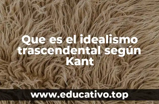 Que es el idealismo trascendental según Kant