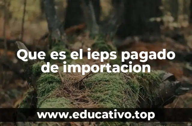 Que es el ieps pagado de importacion