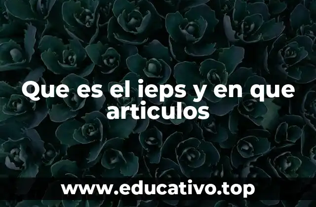 Que es el ieps y en que articulos