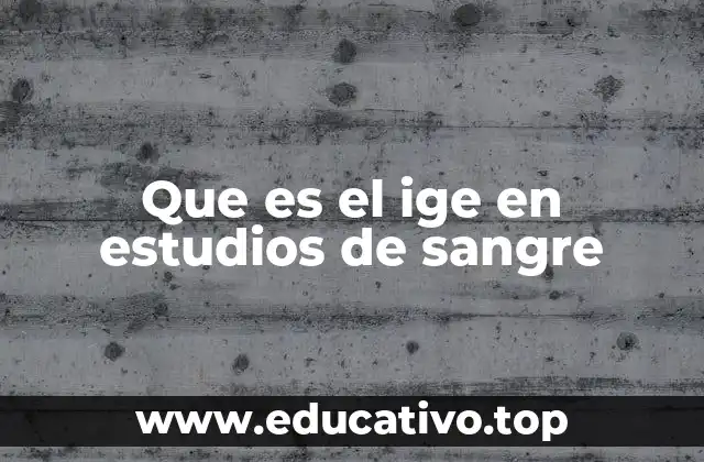 Que es el ige en estudios de sangre