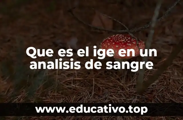 Que es el ige en un analisis de sangre