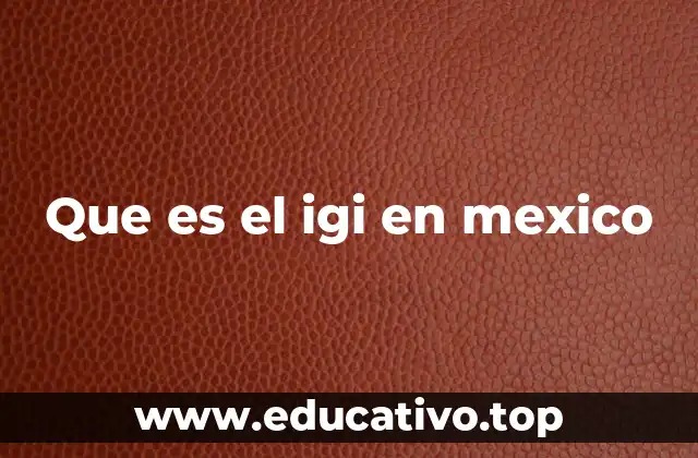 Que es el igi en mexico