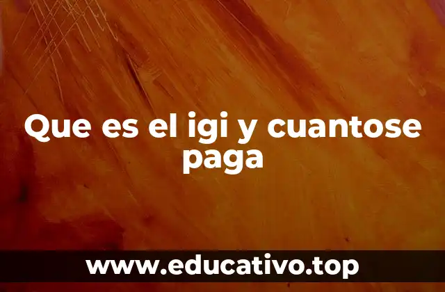 Que es el igi y cuantose paga