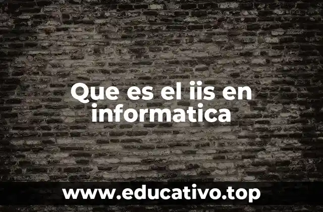 Que es el iis en informatica