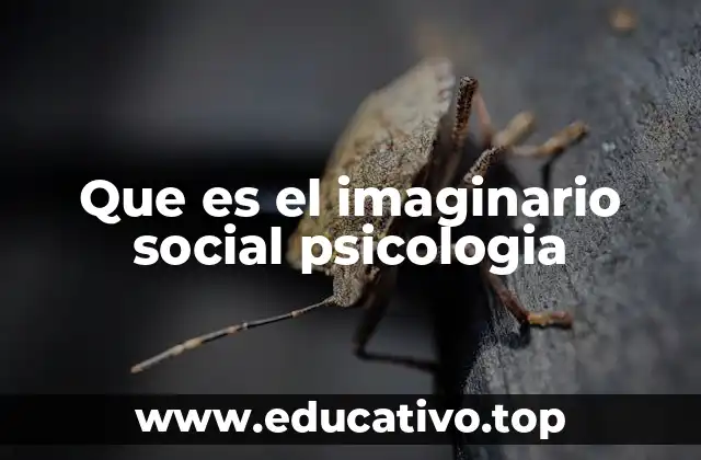 Que es el imaginario social psicologia