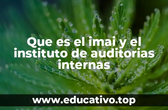 Que es el imai y el instituto de auditorias internas