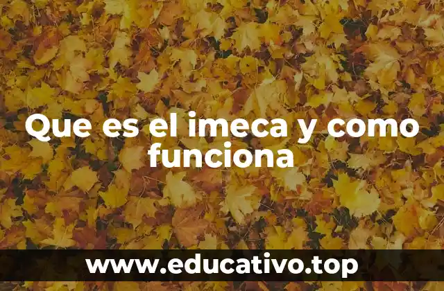 Que es el imeca y como funciona