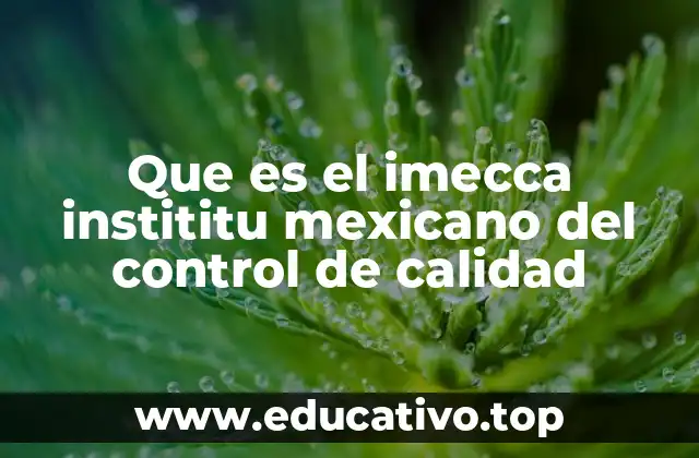 Que es el imecca instititu mexicano del control de calidad