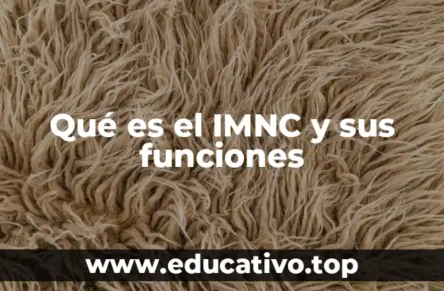 Qué es el IMNC y sus funciones