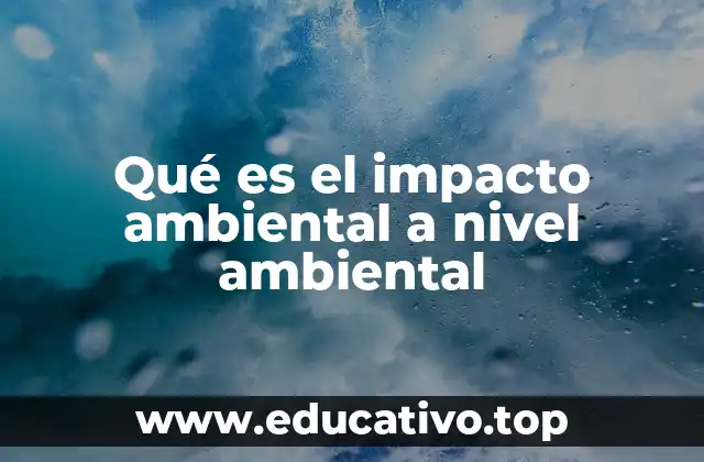Qué es el impacto ambiental a nivel ambiental