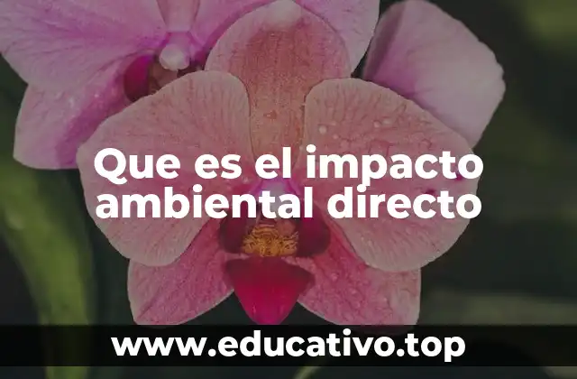 Que es el impacto ambiental directo