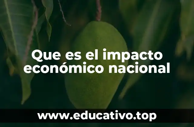 Que es el impacto económico nacional
