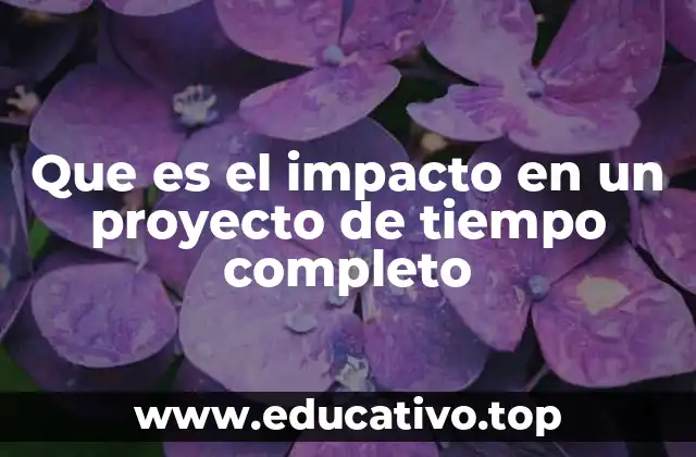 Que es el impacto en un proyecto de tiempo completo