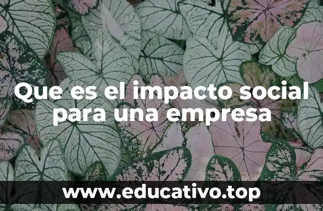 Que es el impacto social para una empresa