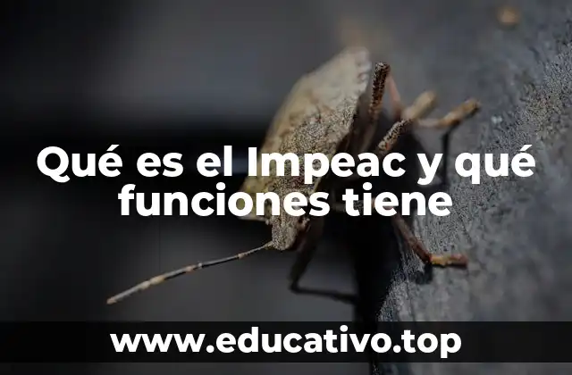 Qué es el Impeac y qué funciones tiene