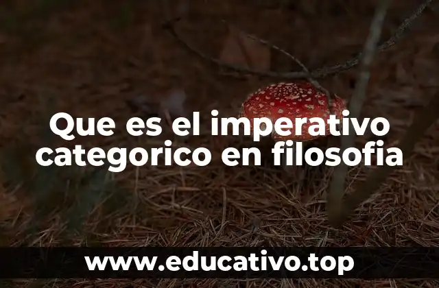 Que es el imperativo categorico en filosofia