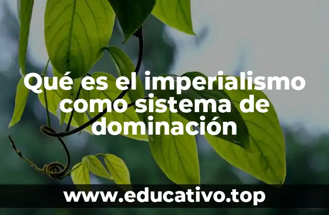 Qué es el imperialismo como sistema de dominación