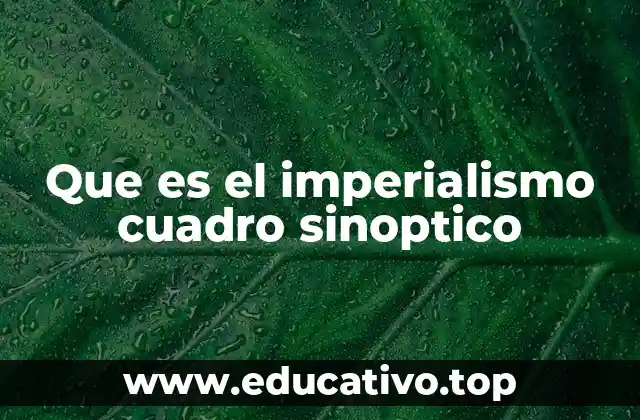 Que es el imperialismo cuadro sinoptico