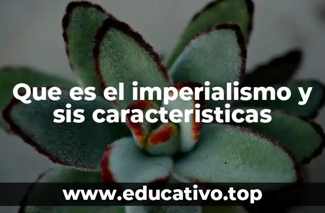 Que es el imperialismo y sis caracteristicas