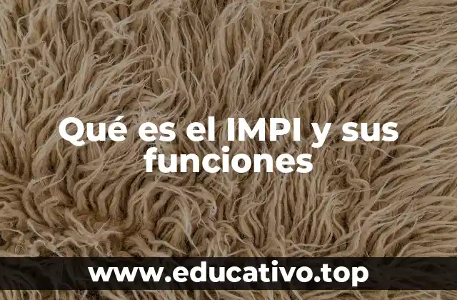 Qué es el IMPI y sus funciones