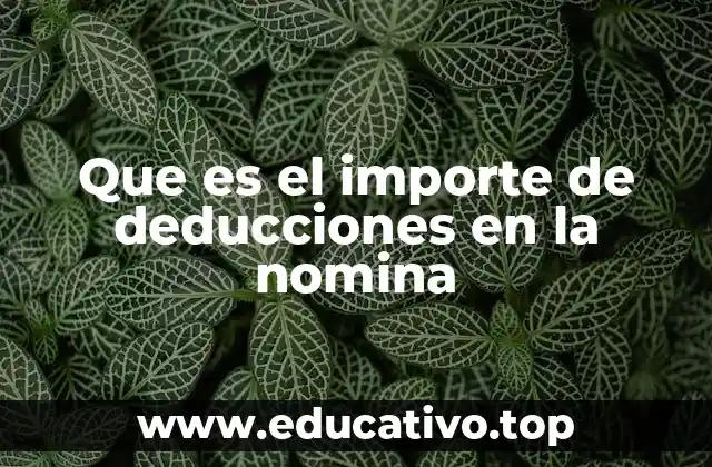 Que es el importe de deducciones en la nomina