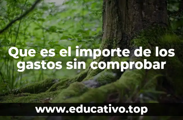 Que es el importe de los gastos sin comprobar