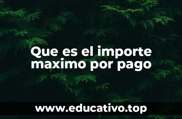 Que es el importe maximo por pago