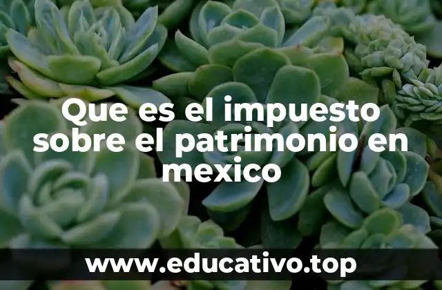 Que es el impuesto sobre el patrimonio en mexico