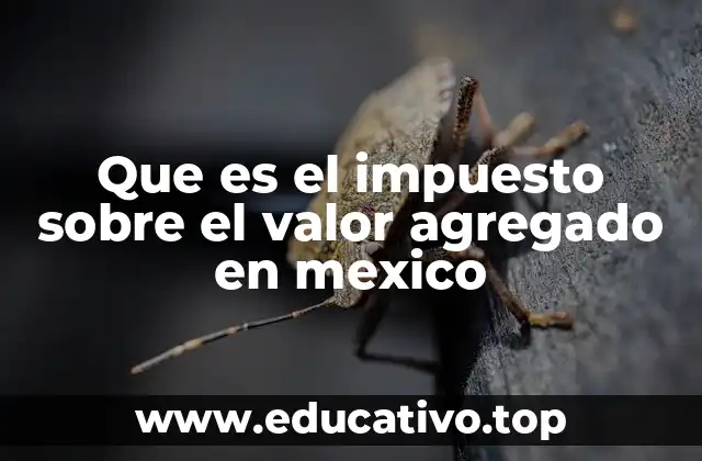 Que es el impuesto sobre el valor agregado en mexico