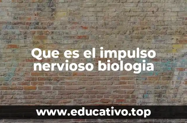 Que es el impulso nervioso biologia
