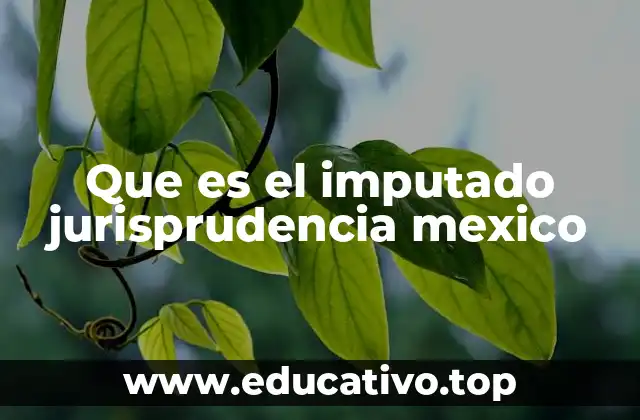 Que es el imputado jurisprudencia mexico