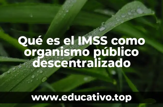 Qué es el IMSS como organismo público descentralizado