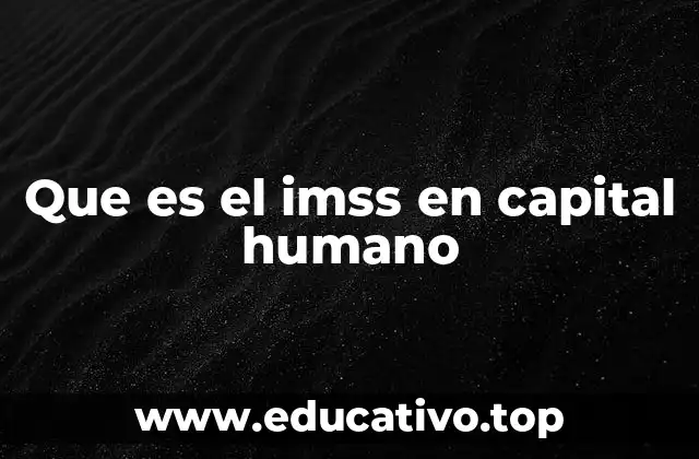 Que es el imss en capital humano