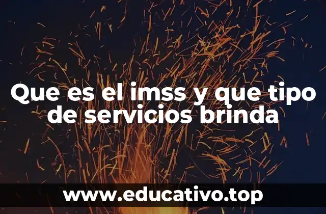 Que es el imss y que tipo de servicios brinda
