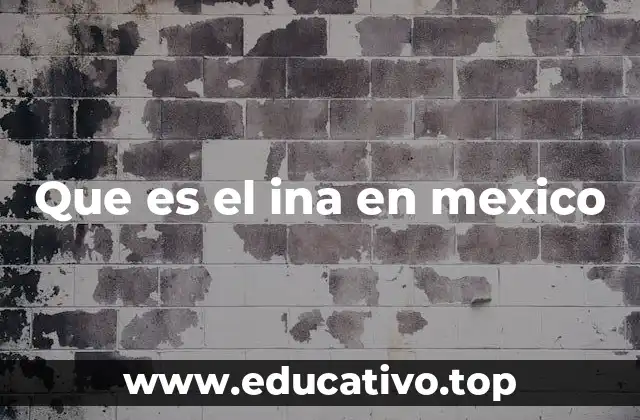 Que es el ina en mexico