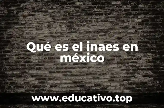 Qué es el inaes en méxico