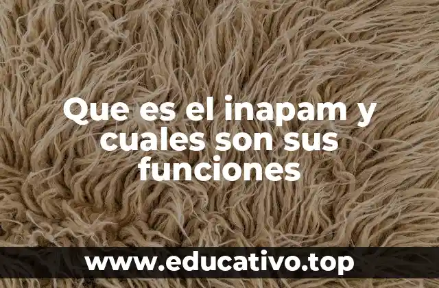 Que es el inapam y cuales son sus funciones