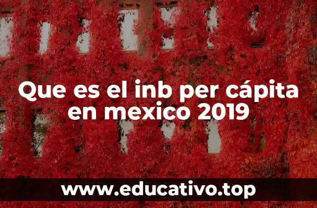 Que es el inb per cápita en mexico 2019