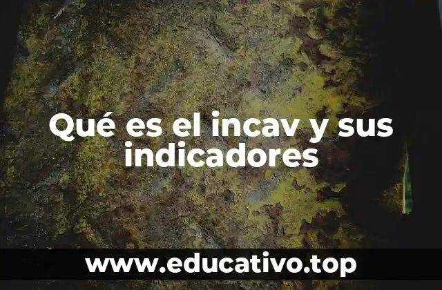 Qué es el incav y sus indicadores